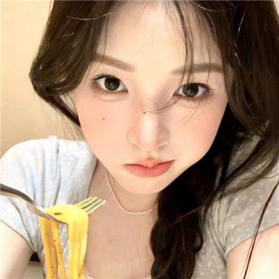 双子座计划
