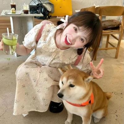 狐妖小红娘镜花缘篇